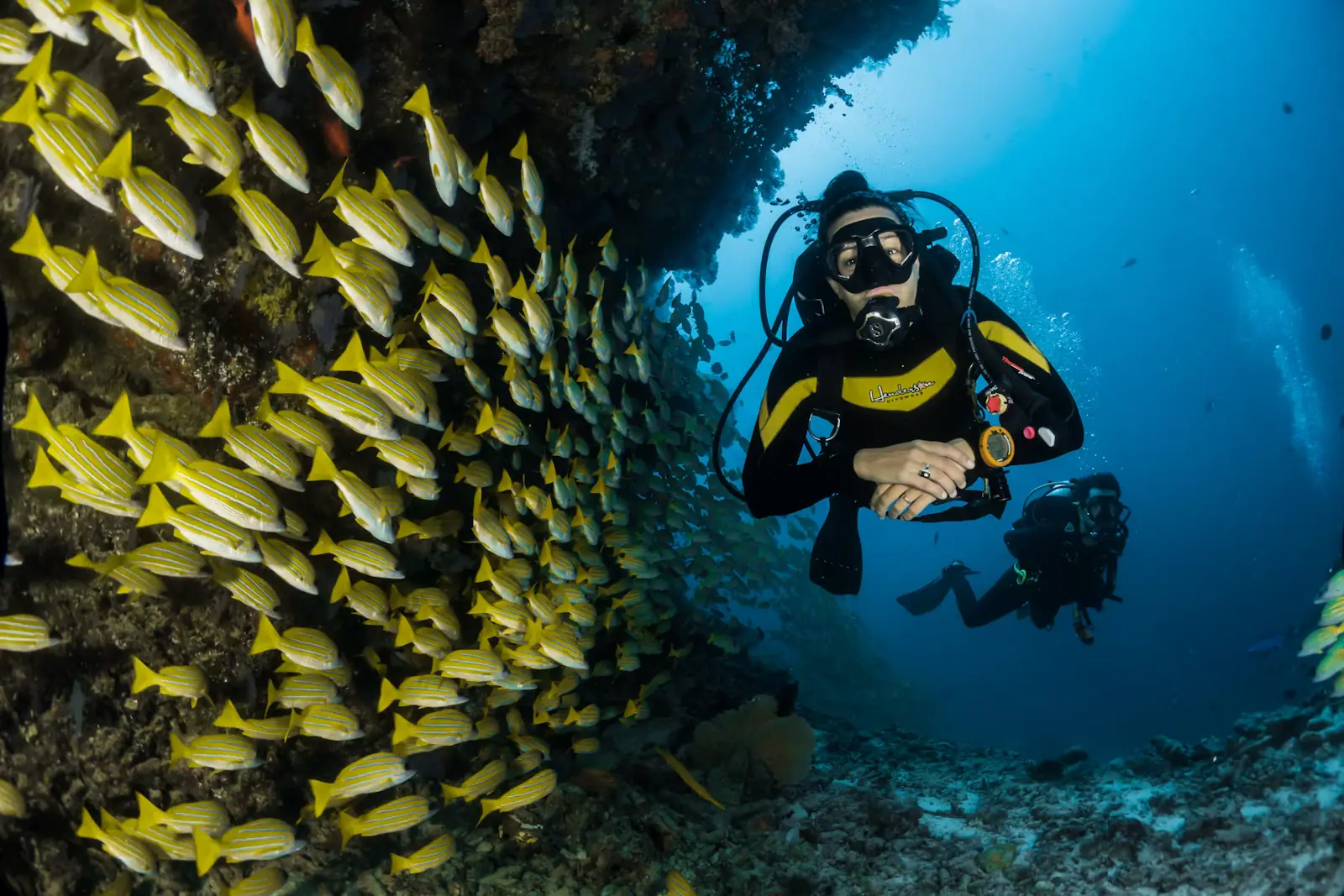 A diver drifting along a coral wall in clear blue water, the reef dropping away into open ocean below