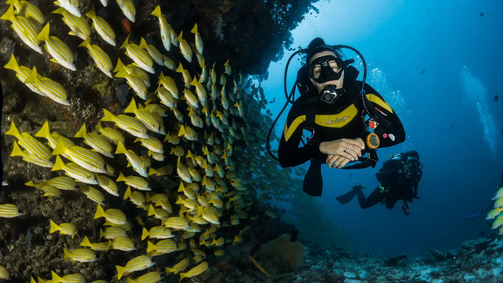 A diver hanging weightless beside a coral wall that drops away into deep blue water
