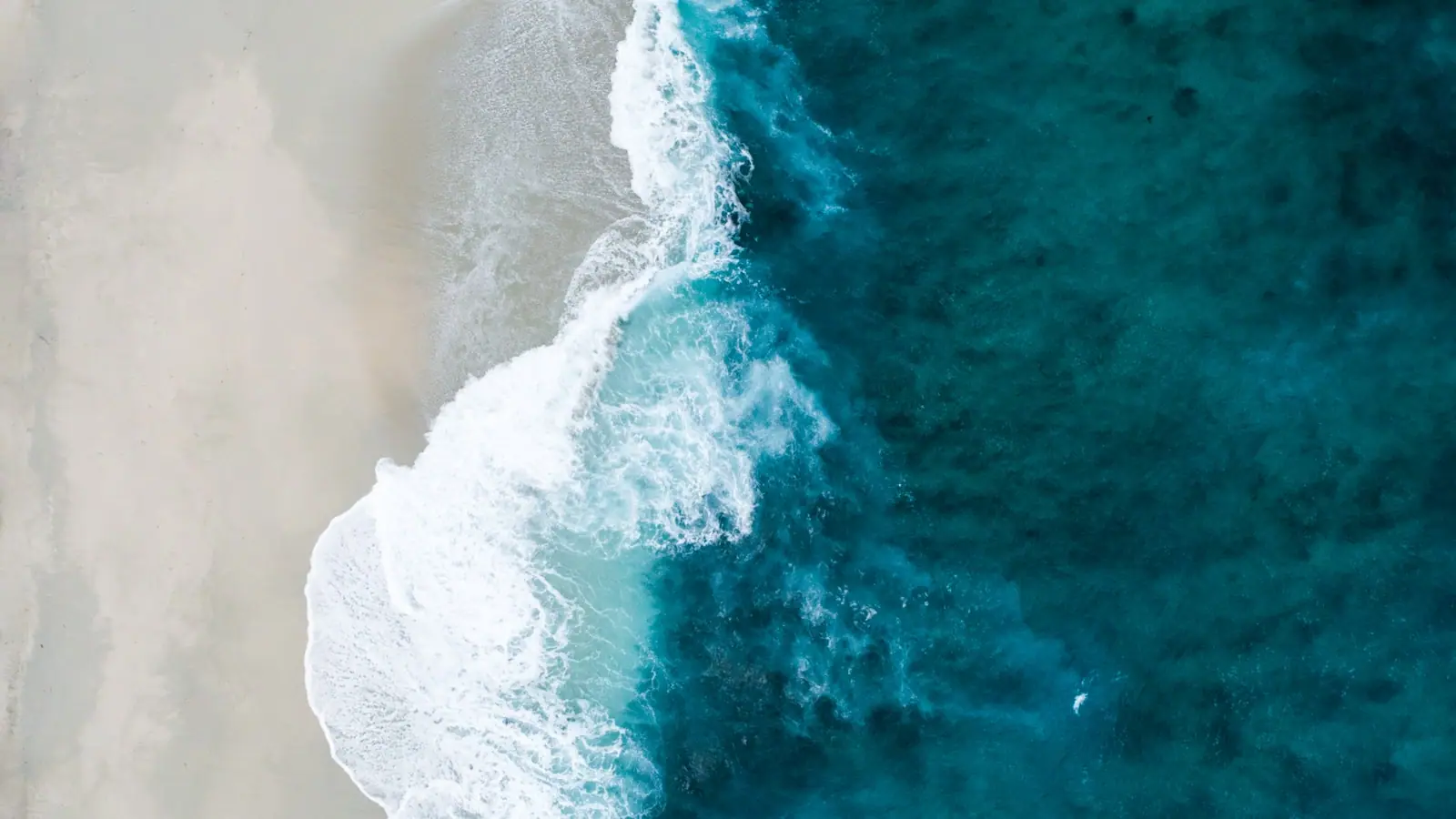 Surf breaking on an empty windward beach backed by low scrub and limestone with no buildings in sight