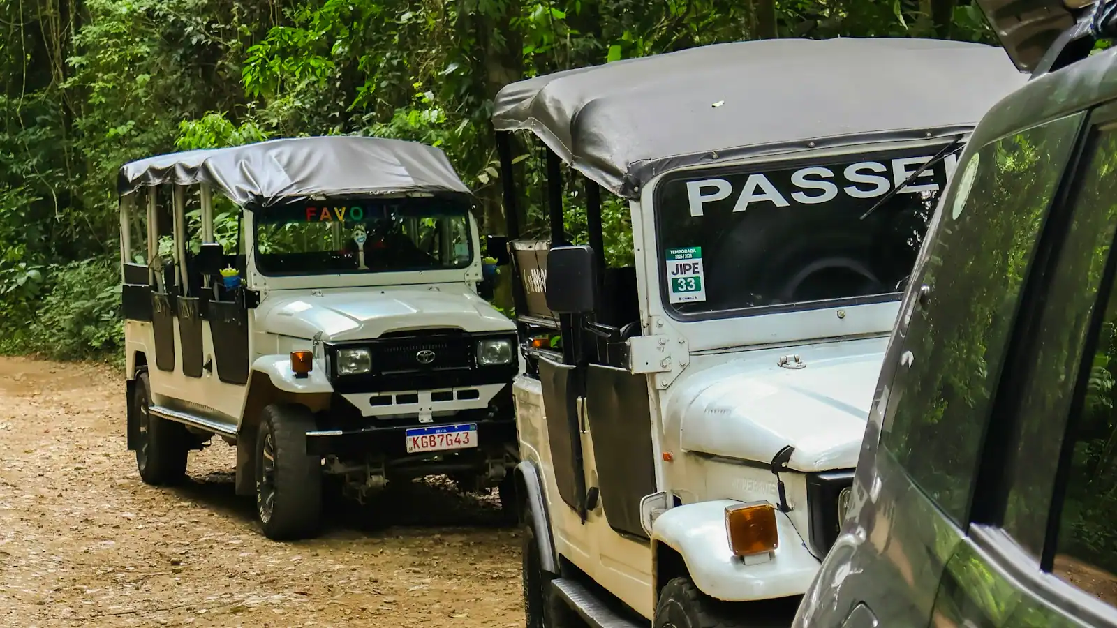 Open-topped four-wheel-drive vehicles lined up on a dirt road with dense green forest on both sides
