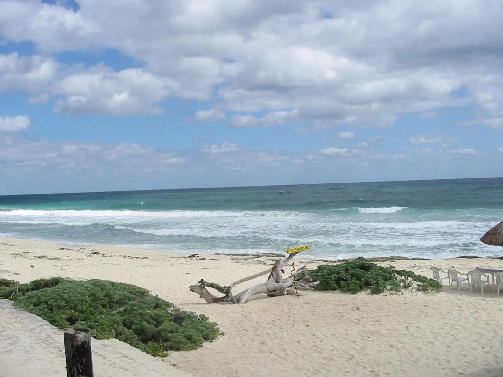 Heavy surf breaking on an empty, coarse-sand windward beach with low scrub behind it