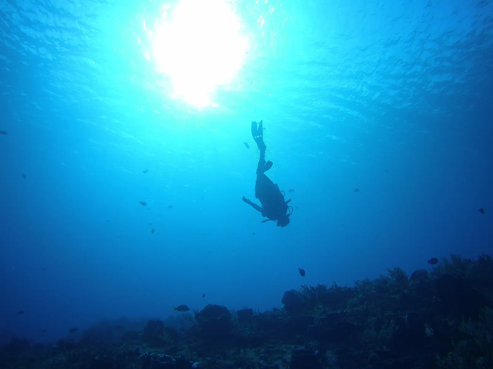 A diver drifting along the face of a coral wall in very clear blue water, the reef dropping away below